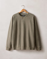 Men's Relaxed French Terry Crew - Sea Turtle