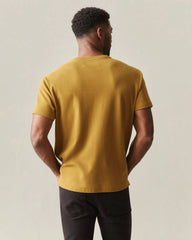 Men's Brushed Crew Tee - Tapenade Solid